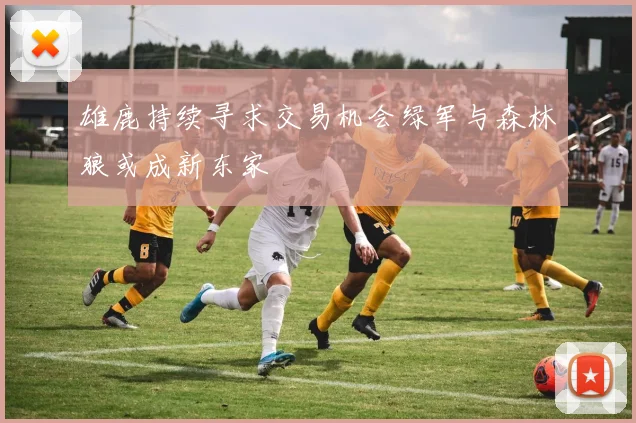 雄鹿持续寻求交易机会绿军与森林狼或成新东家