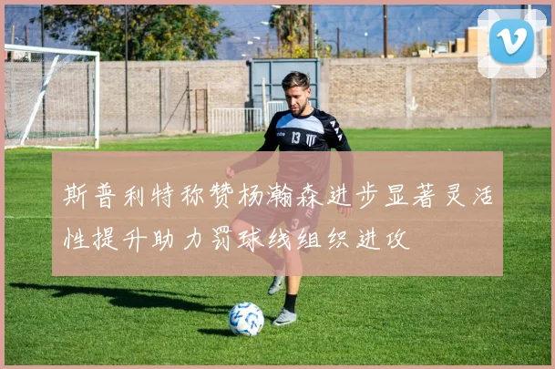 斯普利特称赞杨瀚森进步显著灵活性提升助力罚球线组织进攻
